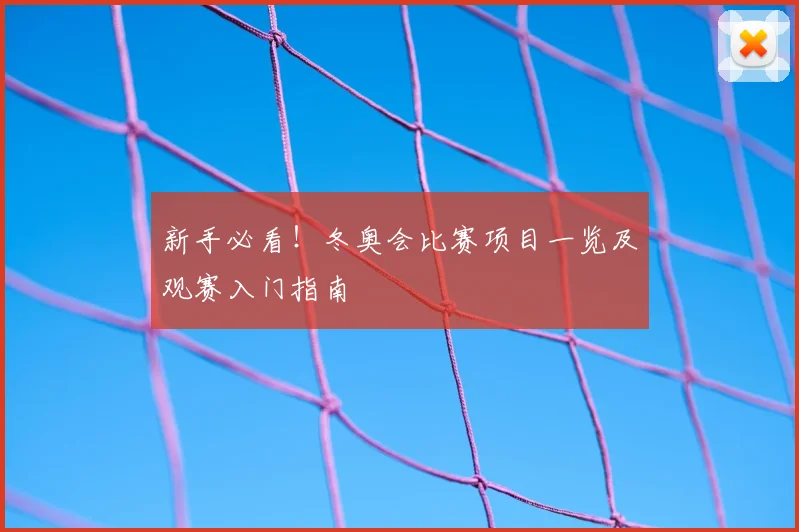 新手必看！冬奥会比赛项目一览及观赛入门指南